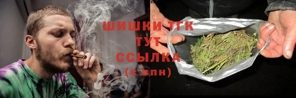 тгк Мегион