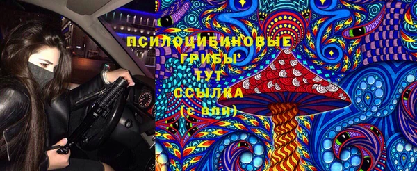 дживик Медногорск