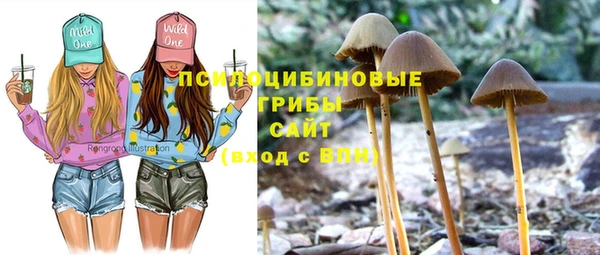 индика Санкт-Петербург