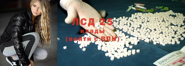 индика Санкт-Петербург