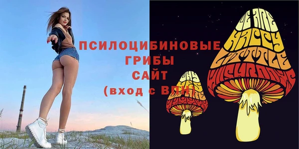 тгк Мегион