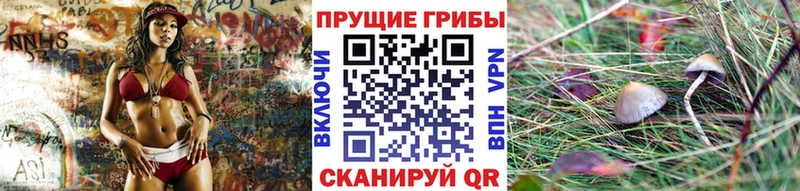 как найти   Ленинградская  Псилоцибиновые грибы мухоморы 